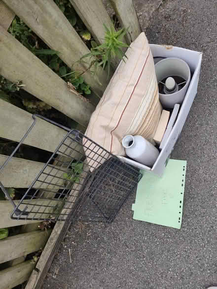 Photo of free Lamp, vase, pillow, books (LS6) #1