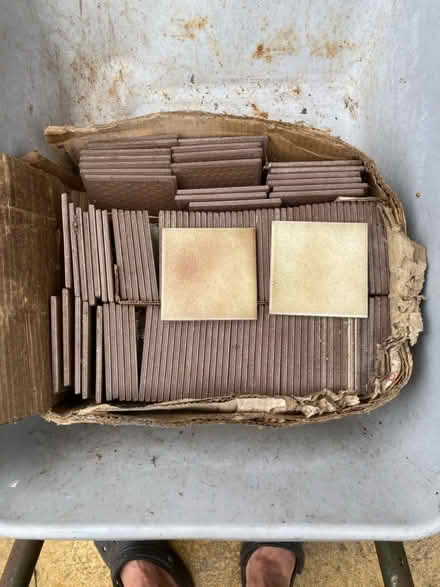 Photo of free tiles (BH21) #2