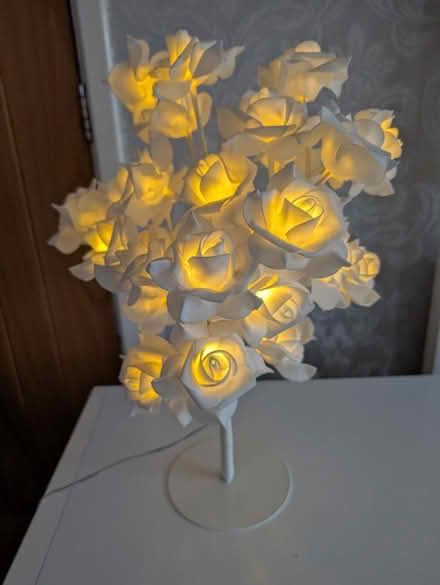 Photo of free White rose flower lamp (Wallasey CH45) #1