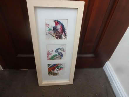 Photo of free Bird picture print in wooden frame (Greenford UB6 8PF) #1