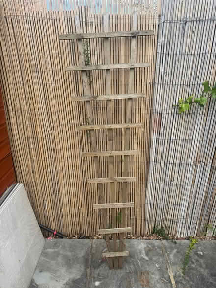 Photo of free Wooden trellis (Southfields SW18) #1