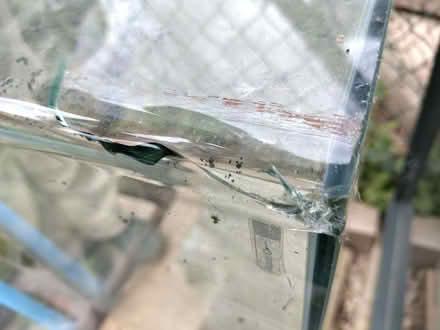 Photo of free cracked glass aquarium (Caldecott OX14) #2