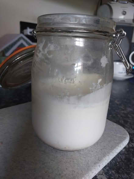 Photo of Kefir grains (WF1) #4