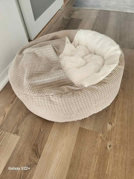Photo of free Cat bed (Fort Lee NJ) #2