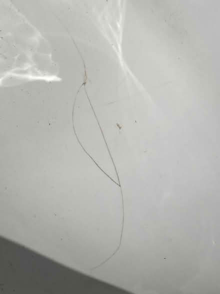 Photo of free Pedestal sink - crack in glaze (Winsted) #2