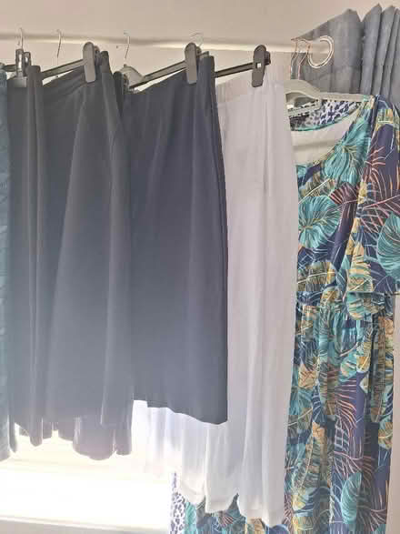Photo of free Size 16 skirts and dresses (Leckhampton GL53) #4