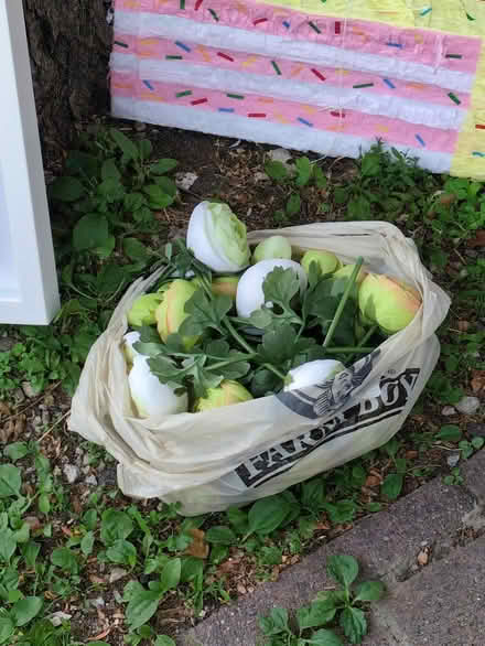 Photo of free Misc art / decorations (curb) (871 Somerset St) #3