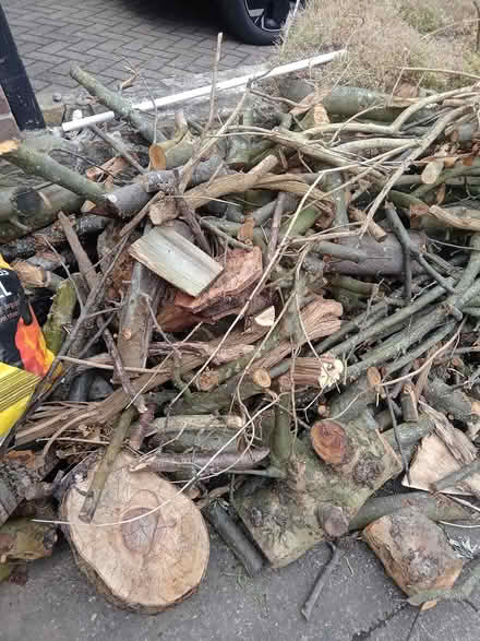 Photo of free Firewood (S6) #1