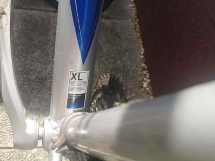 Photo of free Mountain Bike (Lyndhurst SO43) #4