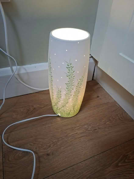 Photo of free Ceramic lamp (Briarhill) #1