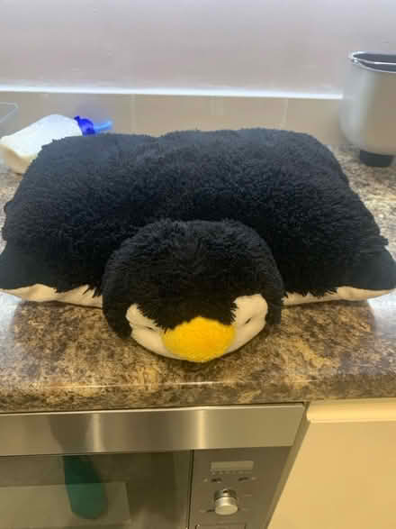 Photo of free Penguin pillow et (Malvern Link WR14) #1