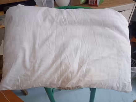 Photo of free Cushion (Colchester CO4) #1