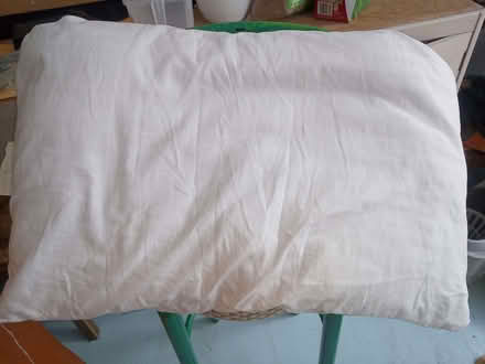 Photo of free Cushion (Colchester CO4) #1