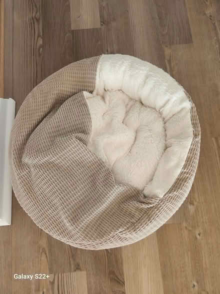 Photo of free Cat bed (Fort Lee NJ) #1