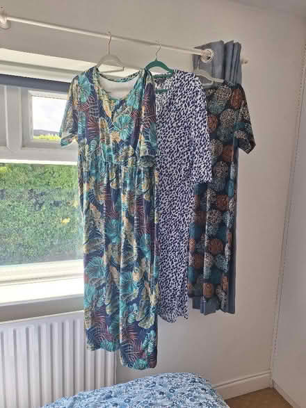 Photo of free Size 16 skirts and dresses (Leckhampton GL53) #1