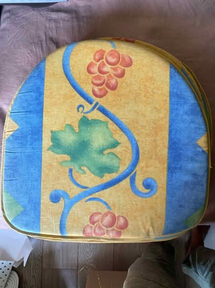 Photo of free 10 outdoor seat cushions (N227by) #1