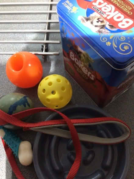 Photo of free Dog things (Wellington) #2