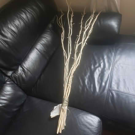 Photo of free LED Twig Lights *Missing Plug (Glenageary) #1