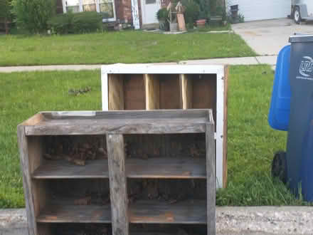 Photo of free 2 shelves great for gardening (60193) #1