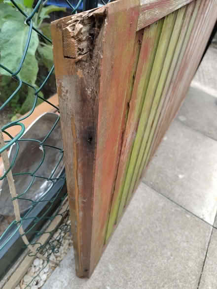 Photo of free Wooden panel from shed (Caldecott OX14) #2