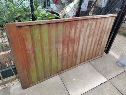 Photo of free Wooden panel from shed (Caldecott OX14) #1