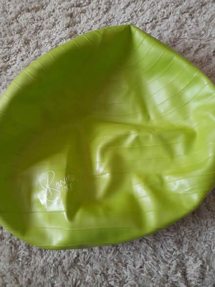 Photo of free Gym ball (Allenton) #1