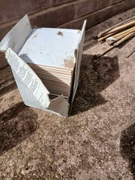 Photo of free White tiles (Heavitree) #1