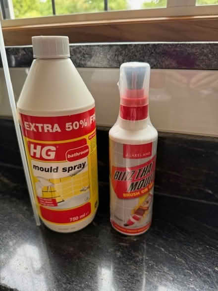 Photo of free Mould treatment (East Horsley) #1