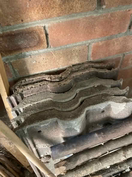 Photo of free Roof tiles (Pe1 4rh) #1