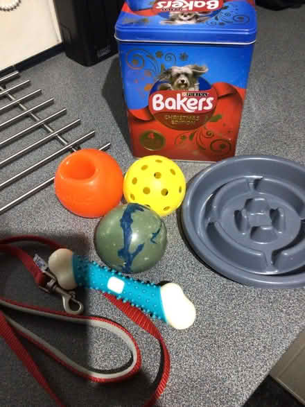 Photo of free Dog things (Wellington) #1