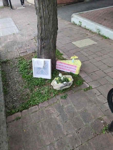 Photo of free Misc art / decorations (curb) (871 Somerset St) #1