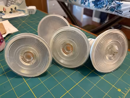Photo of free Can Light Bulbs (Near Hobson/Woodridge Dr) #1