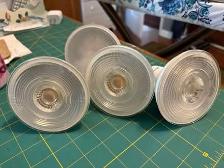 Photo of free Can Light Bulbs (Near Hobson/Woodridge Dr) #1