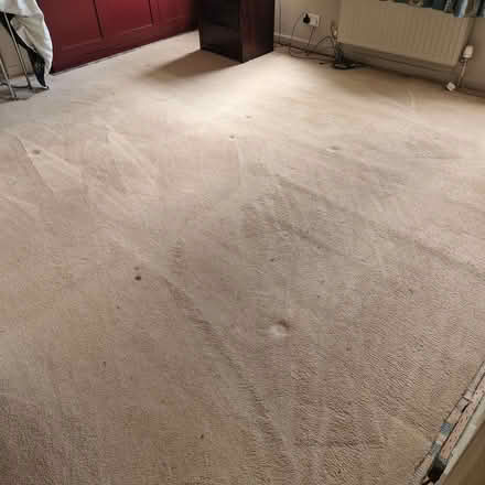 Photo of free piece of carpet, roughly 3.5m x 3.4m (Cherry Orchard SY2) #1