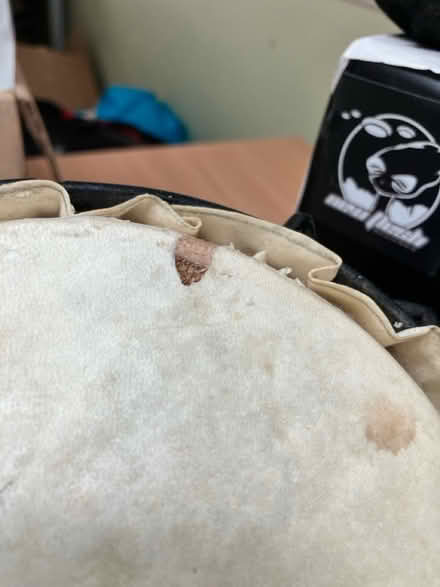 Photo of free Small bongos (TR9) #2