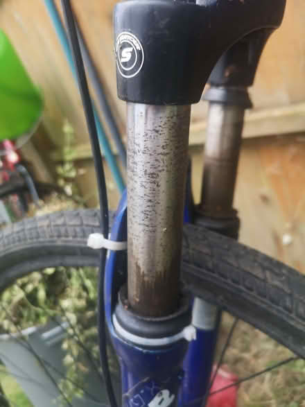 Photo of free Mountain Bike (Lyndhurst SO43) #3