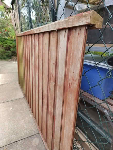 Photo of free Wooden panel from shed (Caldecott OX14) #4