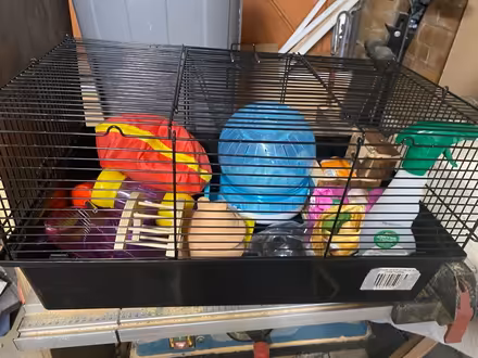 Photo of free Hamster cage (Worksop S81) #1