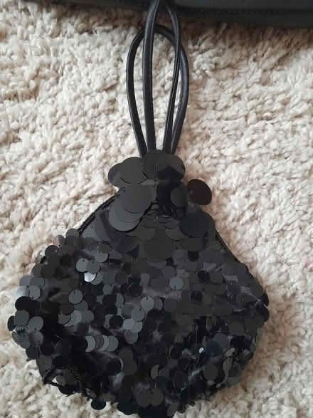Photo of free Handbags (Allenton) #3