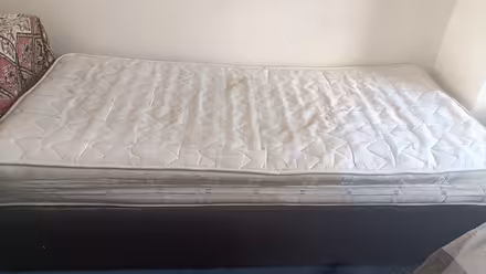 Photo of free Single bed (Haddington EH41) #1