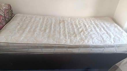 Photo of free Single bed (Haddington EH41) #1