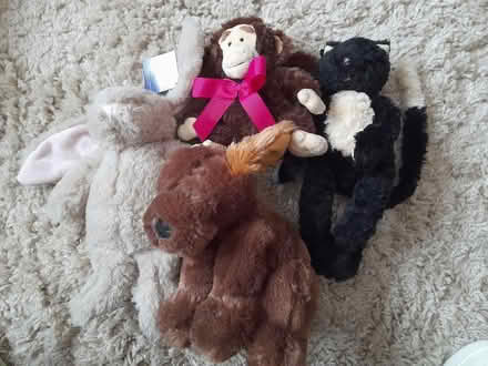Photo of free 4 soft toys (Allenton) #1