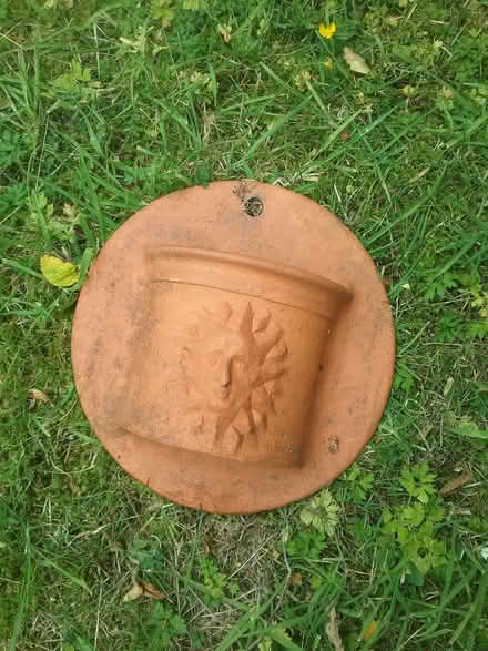 Photo of free Wall planter (Wrenbury CW5) #1