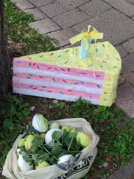 Photo of free Misc art / decorations (curb) (871 Somerset St) #4