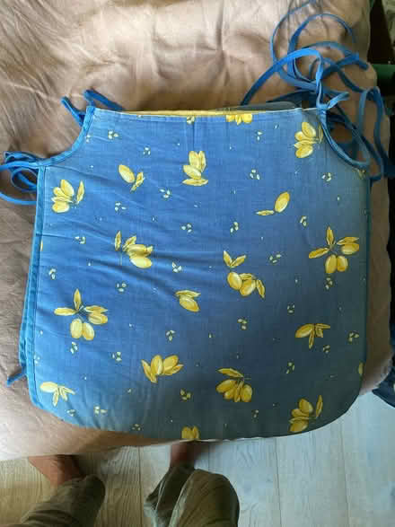 Photo of free 10 outdoor seat cushions (N227by) #2