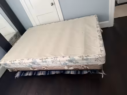 Photo of free Full Bed - frame/mattress/box spgs (16th st hts dc) #3