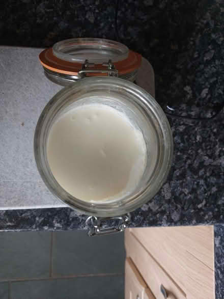 Photo of Kefir grains (WF1) #3