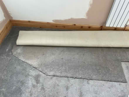 Photo of free Grey carpet (S7 Carter knowle) #2