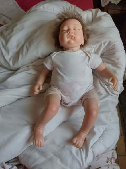 Photo of free Reborn doll (South Ockendon RM15) #1