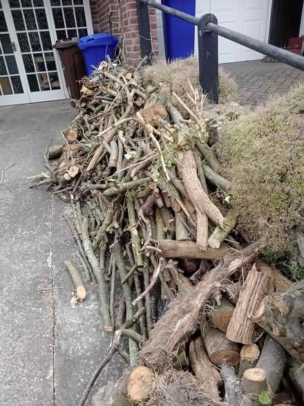 Photo of free Firewood (S6) #4
